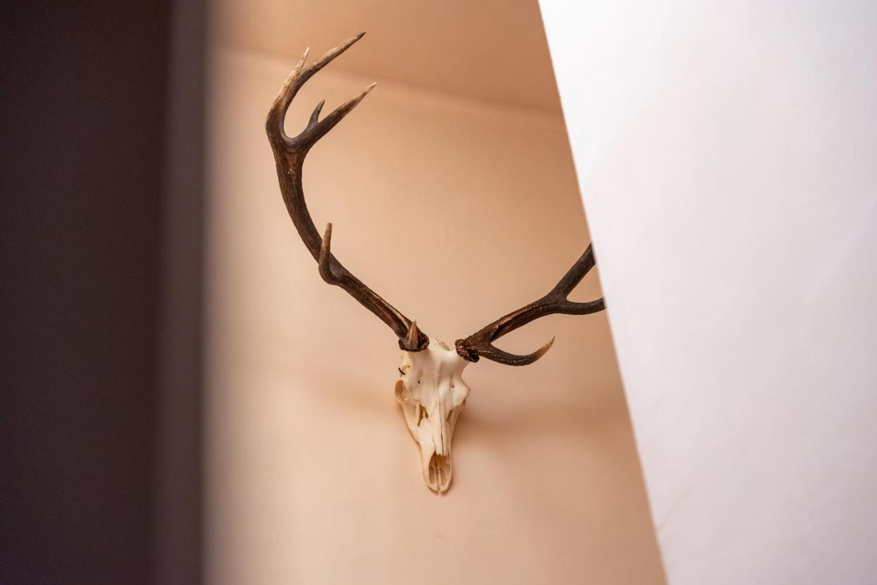 Hotel Le Cor De Chasse Saint-Hubert Exteriör bild